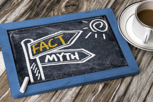 fact-myth